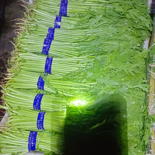 北京茼蒿 优质蒿子秆，长期提供