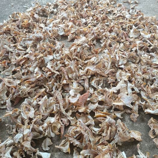赤水市赤水竹笋新笋农家特产笋干笋片