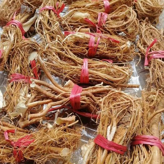 翁源县广东韶关五指毛桃煲汤汤料干货够干够香包邮