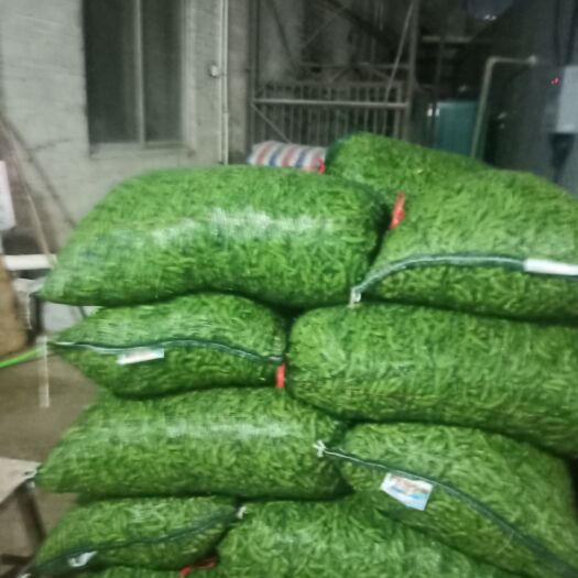 博白县精品毛豆
