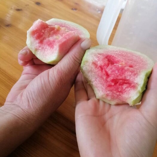 信宜市无核芭乐儿时的味道