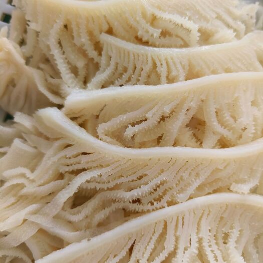 无锡水发毛肚，蹄筋，