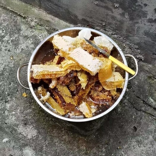儋州市土蜂蜜