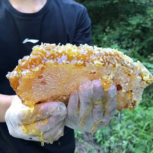 罗甸县正宗野生蜂蜜