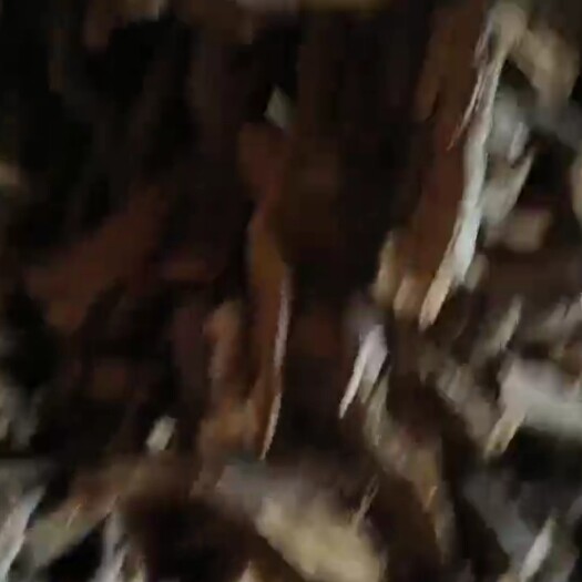 正宁县切片大黄