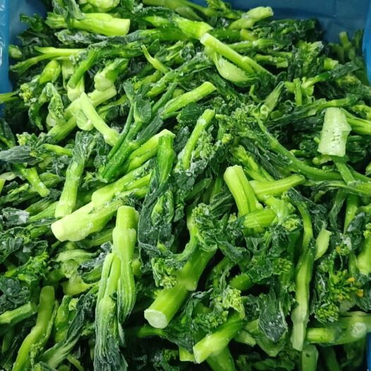 太和县菜苔 菜心