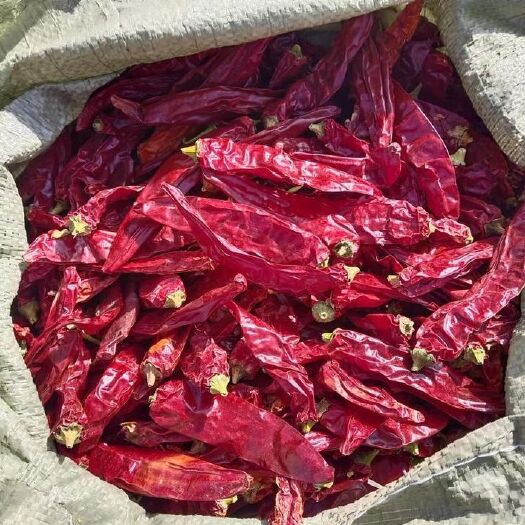 和静县供应加工新疆红龙23色素辣椒，色素辣椒打粉