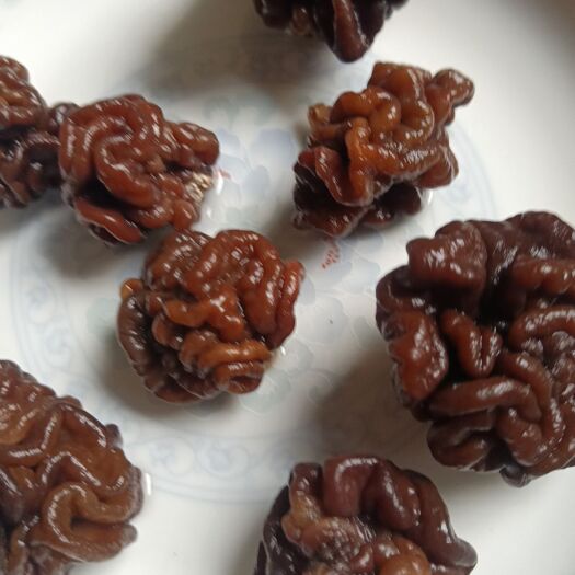 鱼台县猴脑菌