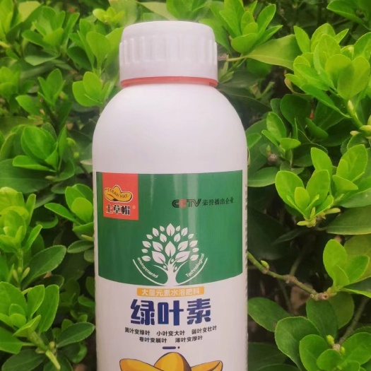 郑州绿叶素