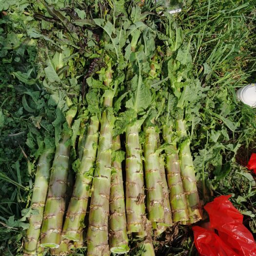 大方县高山冷凉蔬菜莴笋，皮薄肉嫩，清脆可口。