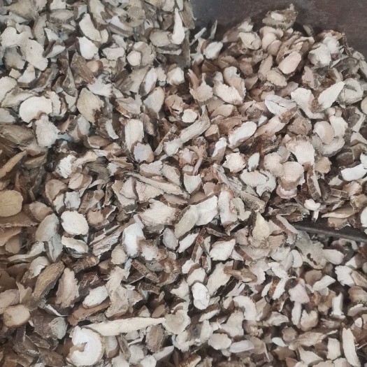 安国市水菖蒲，水菖蒲中药材白菖蒲泥菖蒲臭蒲根臭浦根家菖