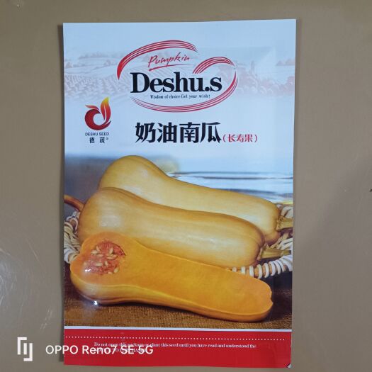 衡阳阿根廷奶油南瓜种子早熟高产奶油味香甜粉糯南瓜种子蔬菜