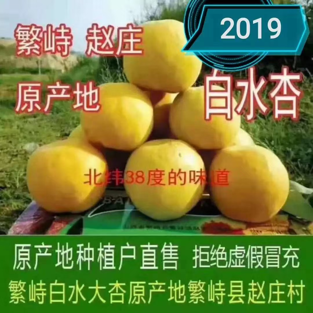 小劉家的杏園