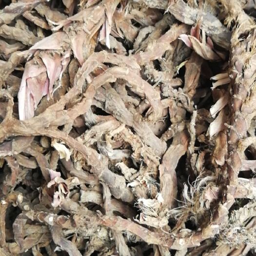 邵阳正品石菖蒲白芯统条叶子毛须干净