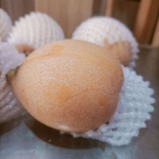 莆田枇
杷，红枇杷白枇杷