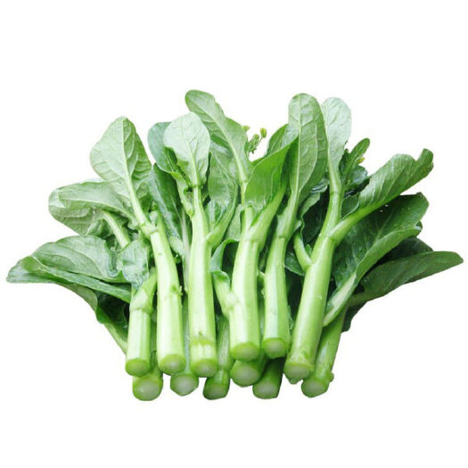 北京菜心