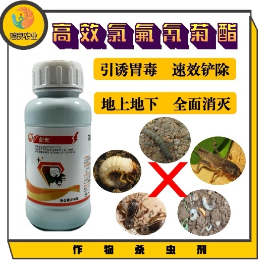 5%高效氯氟氰菊酯全面防除地上地下害虫新型引诱助剂