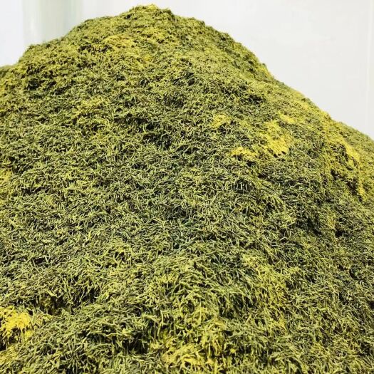 康县杜仲雄花针型，质量看的见，大量有货，欢迎各位老板下单