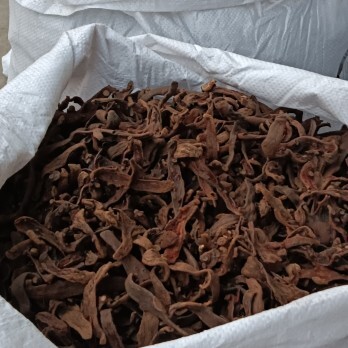 古蔺县中药材骨碎补烘干货，三挑选保质量，购入直接销售或加工使用。