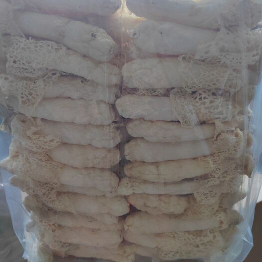 贵阳红托竹荪13
