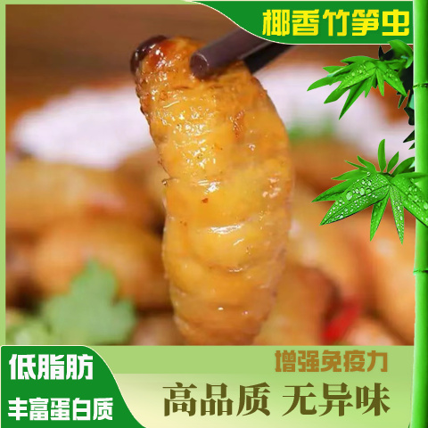 怀集县竹笋虫批发零售，高品质无异味靓货，竹笋虫养殖技术授徒