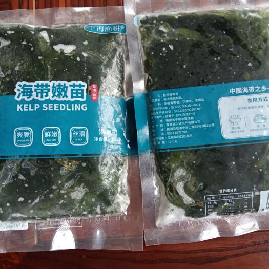 霞浦县免泡发海带苗