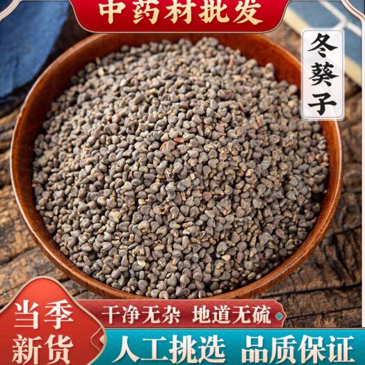 亳州冬葵子中药材 冬葵籽 冬葵子 无硫冬葵子 冬葵果 常年加工