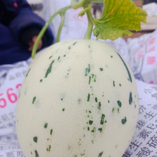 单县流星