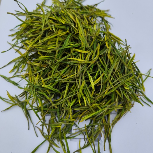 毕节高山白茶