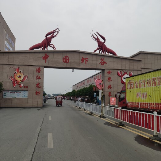潜江市潜江小龙虾