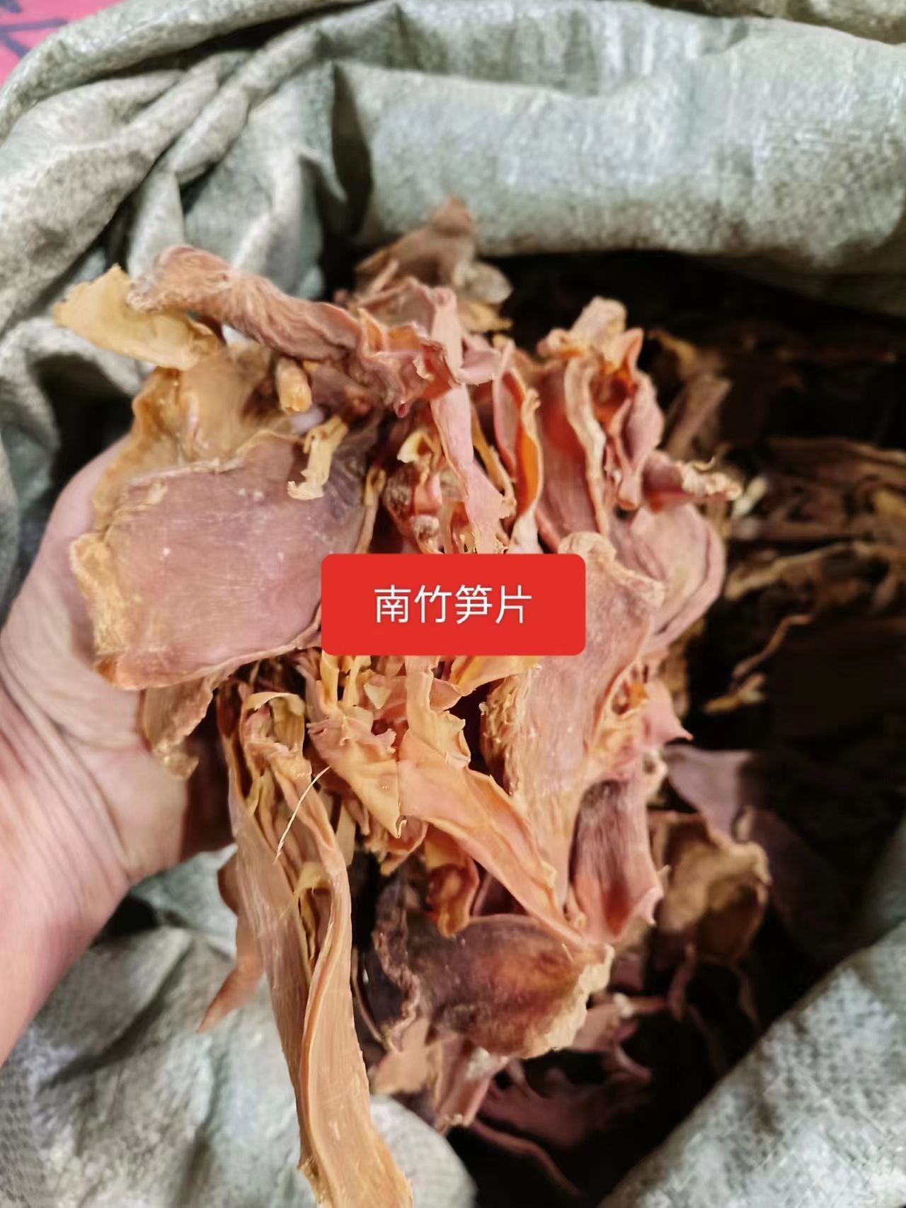楠竹笋