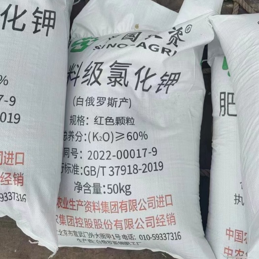 中农红钾大颗粒，60含量
