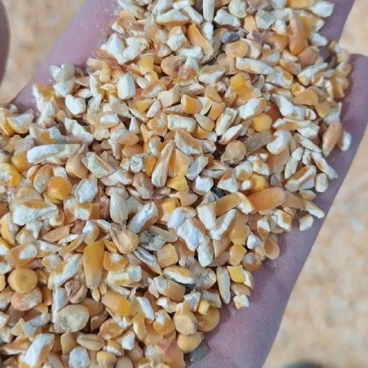 郓城县玉米毛糠 小麦毛糠 禽类饲料 下脚料 次粉 玉米糟渣