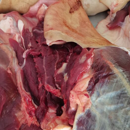 安顺带皮小黄牛肉