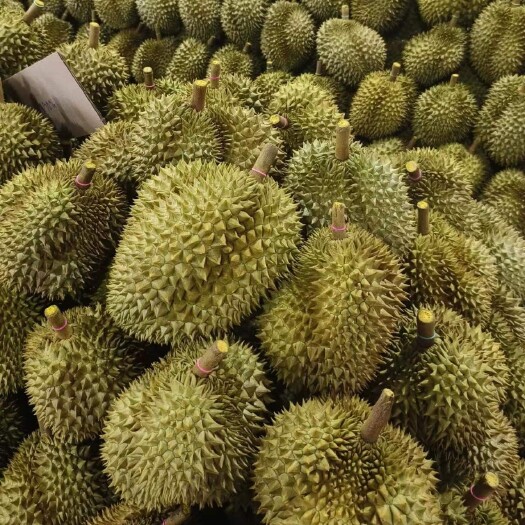 广州精品空运树熟甜高，有现货，量大从优，一手货源