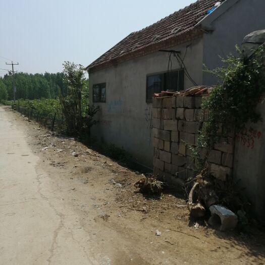 平邑县临沂70亩土地出租