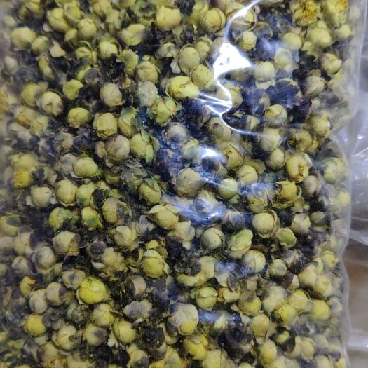 野生金花茶