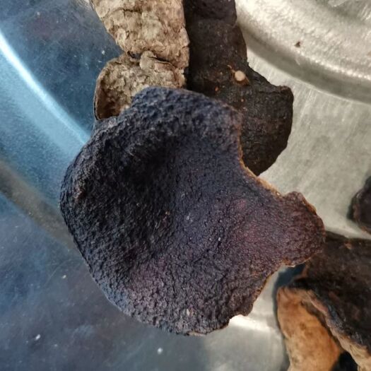 亳州陈皮  新会陈皮 老陈皮