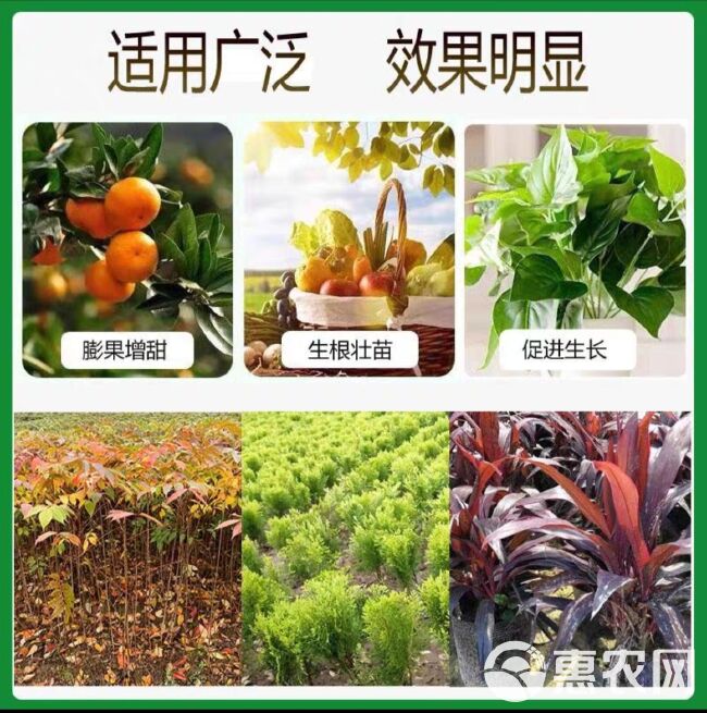 磷酸二氢钾  聚合磷钾二氢钾1公斤每包，喷施淋施滴灌，保花保