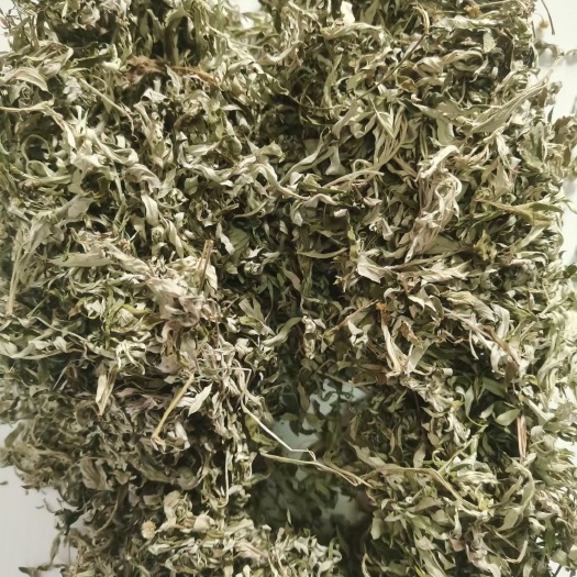 临沂艾叶无杆