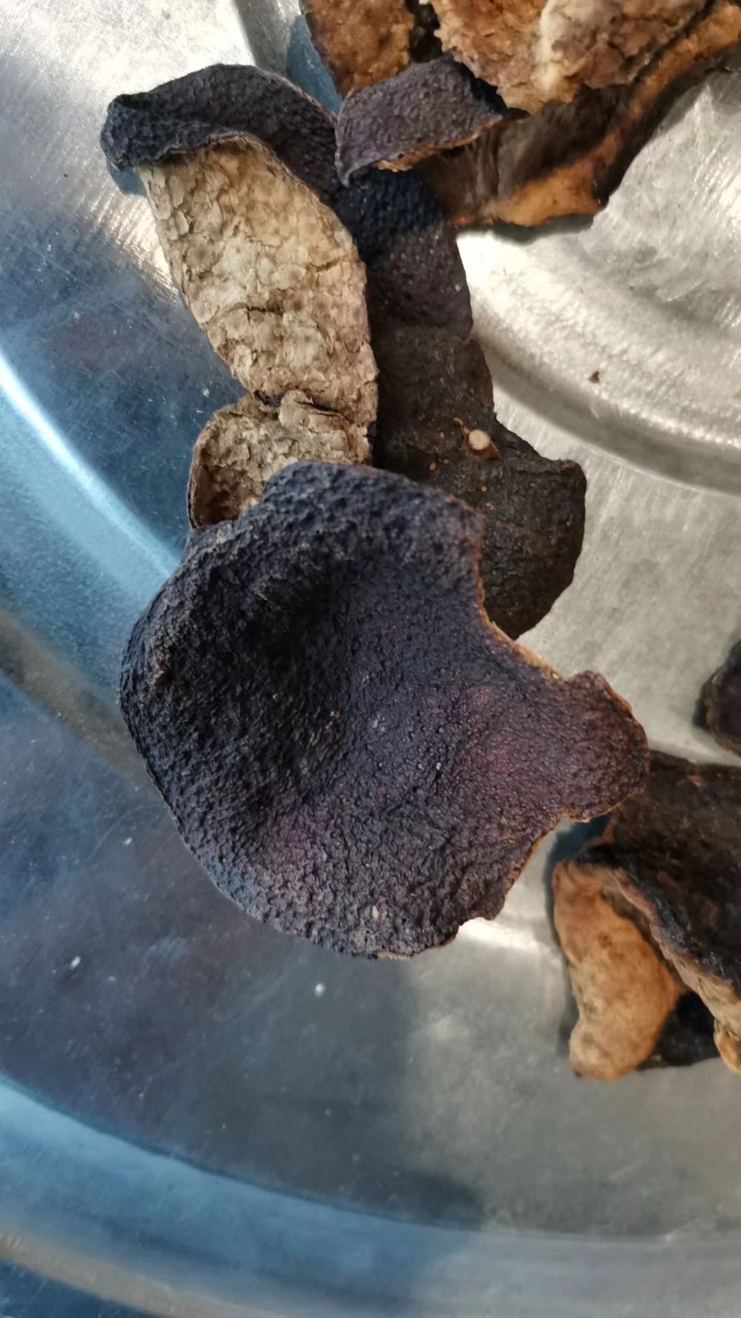 陈皮  新会陈皮 老陈皮