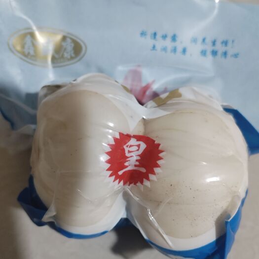 兰州兰州甜百合四头皇