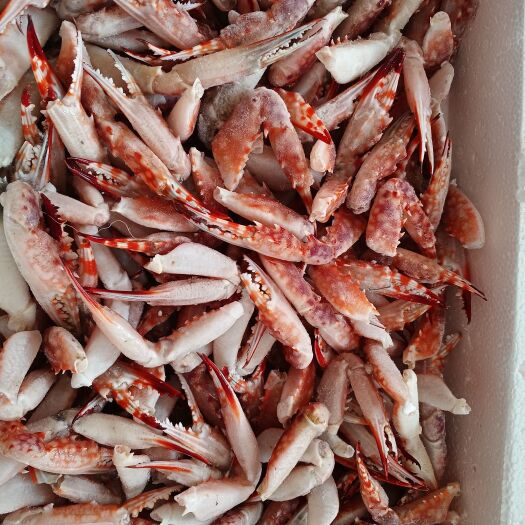 中牟县毛蟹钳