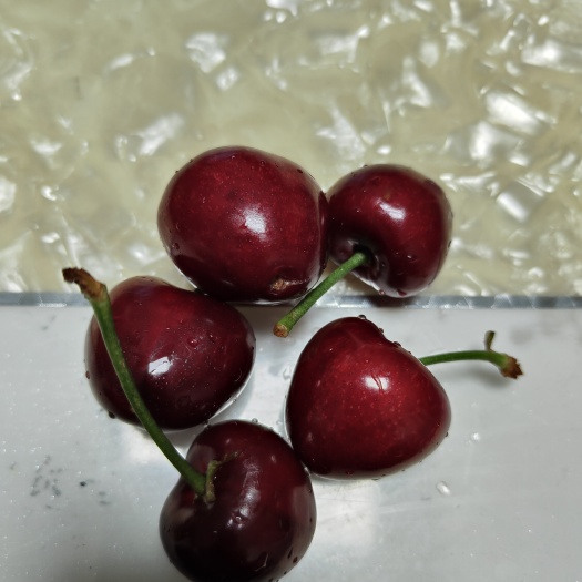 大连大连美早大樱桃
