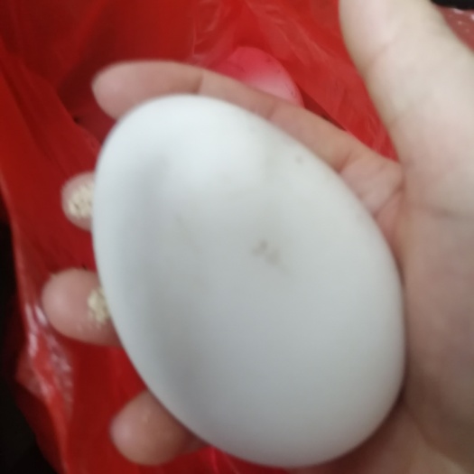 独山县贵州黔南州土鹅蛋