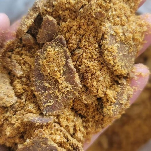 正定县玉米油饼
