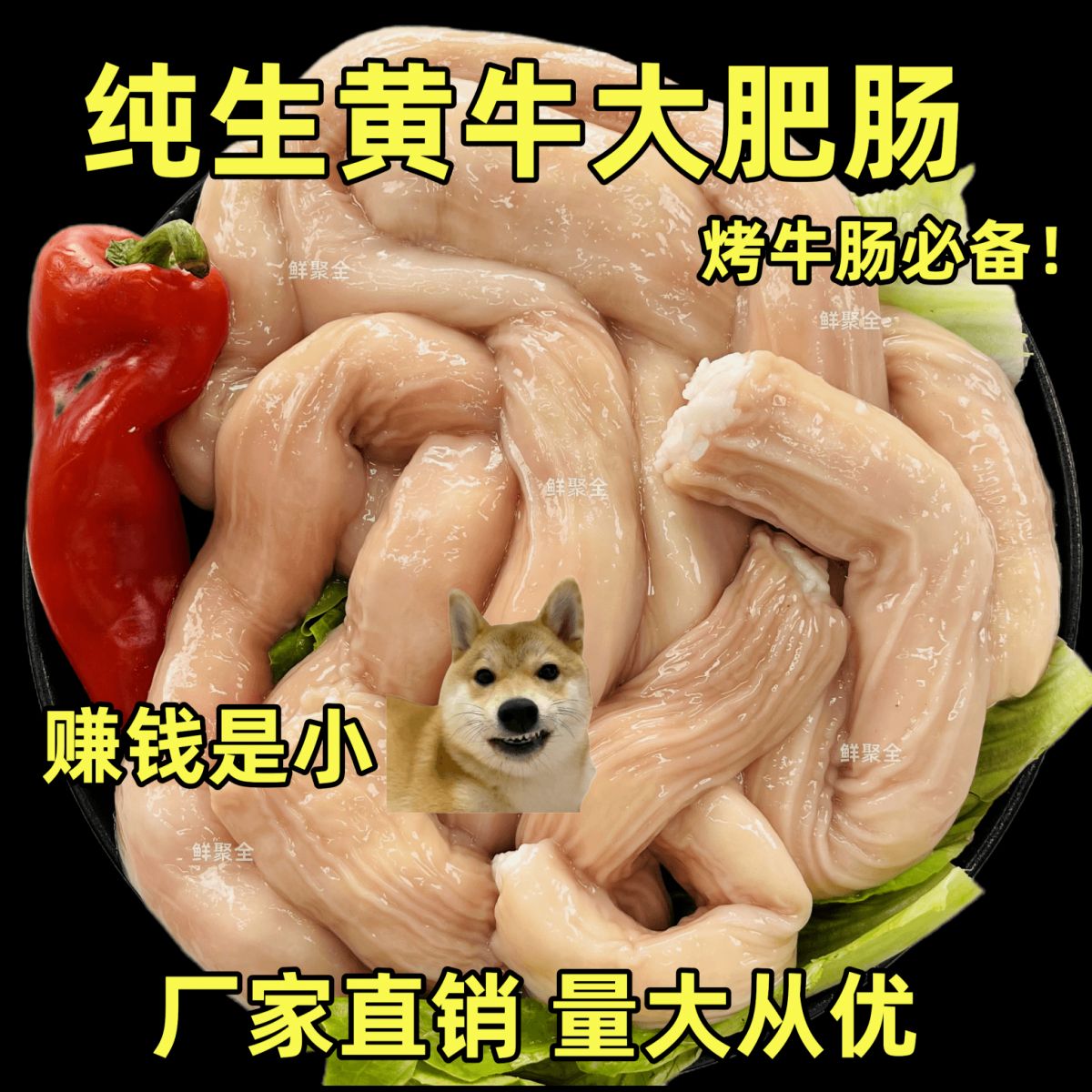 黄牛 牛大肠 新鲜现宰生牛大肠 牛圆肠 冰鲜厂家直销优质牛肠
