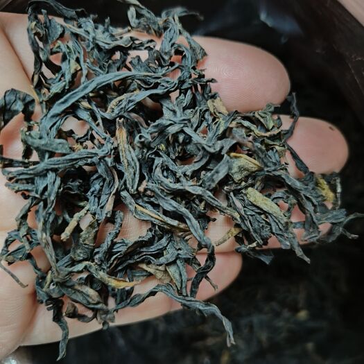 汕头凤凰单枞 坪坑山 锯朵仔 单枞