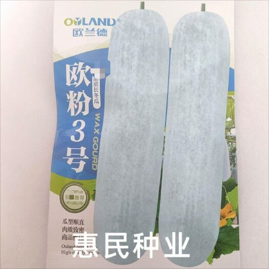 华容县欧兰德欧粉3号粉皮冬瓜种子杂交中熟白冬瓜孑大田种植