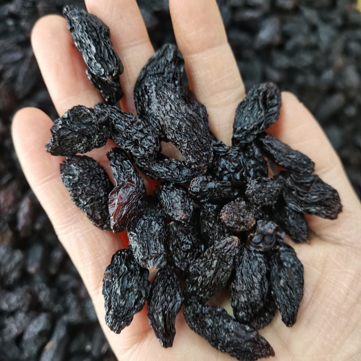 乌鲁木齐黑美人葡萄干大颗粒 新疆特产 酸甜有味 富含花青素